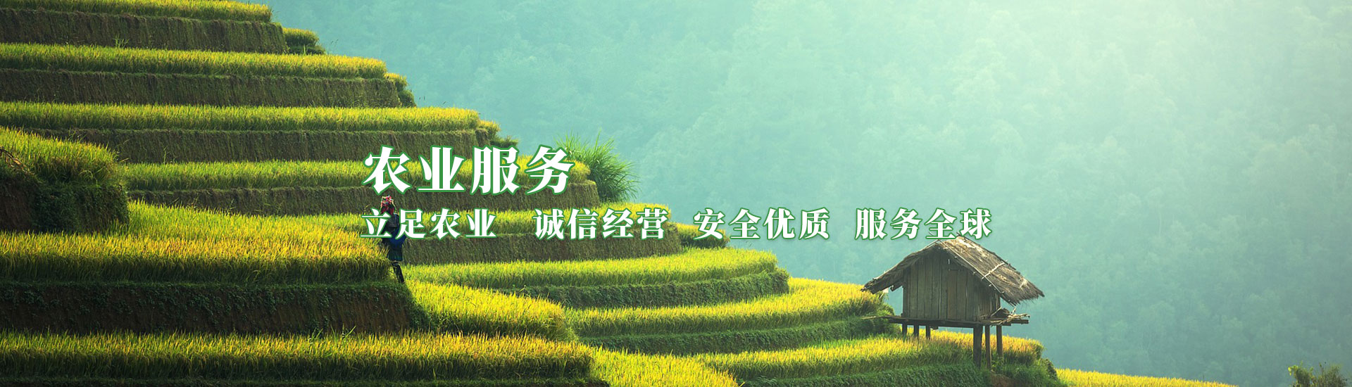 ����˹ר���ᡤVIP(�й���)�ٷ���վ