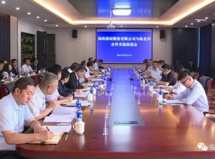 ��ҩҩ�Ĺɷ����޹�˾�����ݷ�չ  ��������